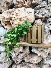 Renkli Saksısı 1 Adet 2,6 Lt Gold Renk İstanbul Saksı Plastik Çiçek Saksısı