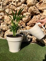 2 LT Krem Renk Sulama Kabı  ADET SEÇİNİZ