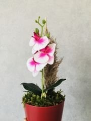 Orkide Yapay Çiçek 1 adet 38 cm Pembe-Beyaz Orkide Çiçeği Yapay Bitki