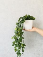 Yapay Çiçek 1 adet 40 cm Yapay Sarmaşık Yapay Bitki Ağaç Saksıda Yapay Çiçek