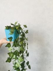 Yapay Çiçek 1 adet 40 cm Yapay Sarmaşık Yapay Bitki