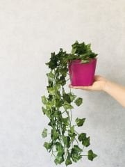 Yapay Çiçek 1 adet 40 cm Yapay Sarmaşık Yapay Bitki