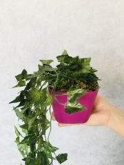 Yapay Çiçek 1 adet 40 cm Yapay Sarmaşık Yapay Bitki