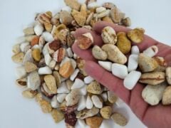 Akvaryum Taşı 5 kg 1-2 cm Karışık Renk Teraryum Taşı Dere Taşı Çakıl Taşı