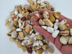 Akvaryum Taşı 5 kg 1-2 cm Karışık Renk Teraryum Taşı Dere Taşı Çakıl Taşı