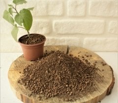 Kil Bilyesi 5 Lt (0-3 mm) 3 Adet Saksıda Tarım Için Sebze Kil Bilyesi