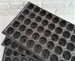 5 Adet 45 Gözlü Viyol +5 Adet Viyol Tepsisi