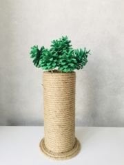 Çam Kozalağı 12 Adet Yeşil Renkli Kozalak Doğal Yılbaşı Kozalağı Dekoratif Kozalak Süs Kozalağı