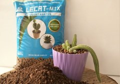 Kil Bilyesi 5 lt (0-3 MM) 2 Adet Kaktüs Sukulent Orkide Kil Bilyesi