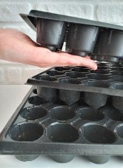 25 Adet 45 Gözlü Viyol + 25 Adet Viyol Tepsisi