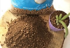 Kil Bilyesi 5 lt (0-3 MM) 2 Adet Kaktüs Sukulent Orkide Kil Bilyesi