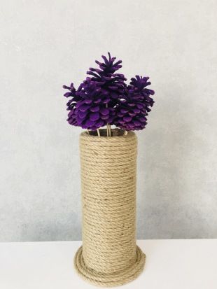 Çam Kozalağı 6 Adet Mor Renkli Kozalak Doğal Yılbaşı Kozalağı Dekoratif Kozalak Süs Kozalağı