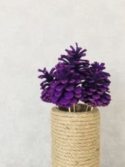 Çam Kozalağı 6 Adet Mor Renkli Kozalak Doğal Yılbaşı Kozalağı Dekoratif Kozalak Süs Kozalağı