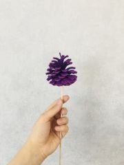 Çam Kozalağı 6 Adet Mor Renkli Kozalak Doğal Yılbaşı Kozalağı Dekoratif Kozalak Süs Kozalağı