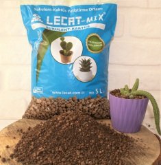 Kil Bilyesi 5 lt (0-3 MM) 1 Adet Kaktüs Sukulent Orkide Kil Bilyesi