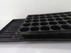 50 Adet 45 Gözlü Viyol +50 Adet Viyol Tepsisi