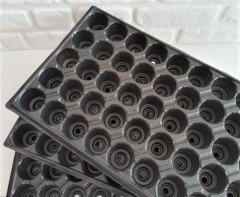 50 Adet 45 Gözlü Viyol +50 Adet Viyol Tepsisi