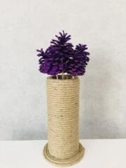 Çam Kozalağı 12 Adet Mor Renkli Kozalak Doğal Yılbaşı Kozalağı Dekoratif Kozalak Süs Kozalağı