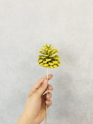 Çam Kozalağı 6 Adet Sarı Renkli Kozalak Doğal Yılbaşı Kozalağı Dekoratif Kozalak Süs Kozalağı