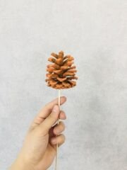 Çam Kozalağı 12 Adet Turuncu Renkli Kozalak Doğal Yılbaşı Kozalağı Dekoratif Kozalak Süs Kozalağı