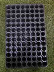 25 Adet 104 Gözlü Viyol + 25 Adet Viyol Tepsisi