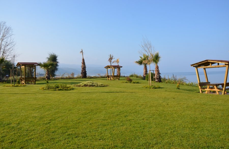 Sahil Çim Tohumu 5 KG 3 Karışım Çim Tohumu Sahil Çimi Sıcak Bölge Çim Tohumu