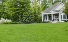 Sahil Çim Tohumu 10 KG 3 Karışım Çim Tohumu Sahil Çimi Sıcak Bölge Çim Tohumu