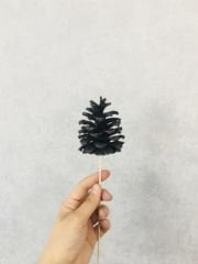 Çam Kozalağı 8 Adet Siyah Renkli Kozalak Doğal Yılbaşı Kozalağı Dekoratif Kozalak Süs Kozalağı