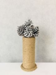 Çam Kozalağı 8 Adet Gümüş Renkli Kozalak Doğal Yılbaşı Kozalağı Dekoratif Kozalak Süs Kozalağı