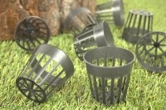 File Saksı 30 Adet 5,5x5 Cm Hidroponik Saksı Delikli Saksı