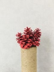 Çam Kozalağı 6 Adet Kırmızı Renkli Kozalak Doğal Yılbaşı Kozalağı Dekoratif Kozalak Süs Kozalağı