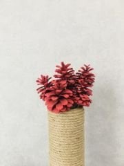 Çam Kozalağı 8 Adet Kırmızı Renkli Kozalak Doğal Yılbaşı Kozalağı Dekoratif Kozalak Süs Kozalağı