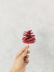 Çam Kozalağı 8 Adet Kırmızı Renkli Kozalak Doğal Yılbaşı Kozalağı Dekoratif Kozalak Süs Kozalağı