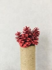 Çam Kozalağı 12 Adet Kırmızı Renkli Kozalak Doğal Yılbaşı Kozalağı Dekoratif Kozalak Süs Kozalağı