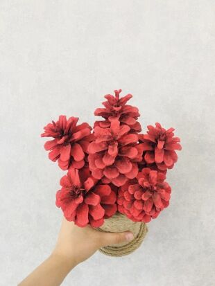 Çam Kozalağı 12 Adet Kırmızı Renkli Kozalak Doğal Yılbaşı Kozalağı Dekoratif Kozalak Süs Kozalağı