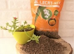 Kil Bilyesi 5 Lt (0-3 Mm) 2 Adet Süs Bitkileri İçin Çiçekli Bitkilere Özel