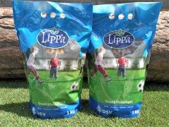 Gölge Çimi 2 kg 5 Karışım Çim Tohum Gölge Çim Tohumu Gölge Alanlar Çimi