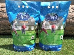 Gölge Çimi 3 kg 5 Karışım Çim Tohum Gölge Çim Tohumu Gölge Alanlar Çimi