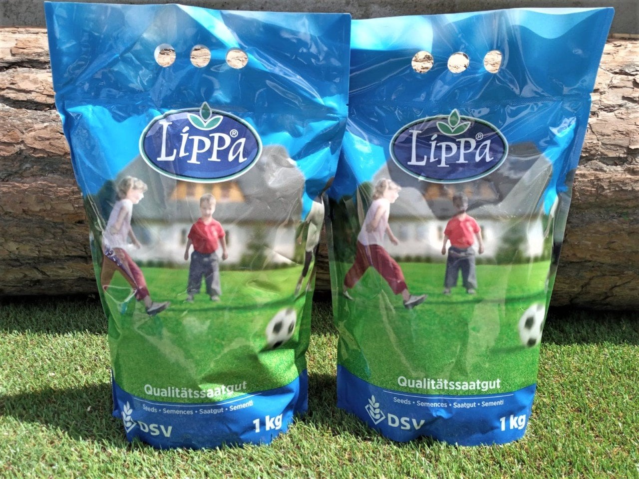 Gölge Çimi 5 kg 5 Karışım Çim Tohum Gölge Çim Tohumu Gölge Alanlar Çimi