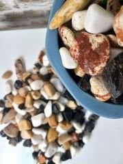 Renkli Çakıl Taşı 1 Kg 1-2 cm Saksı Dibi Teraryum Saksı Süs Vazo Dibi Dekoratif Dolomit Taş