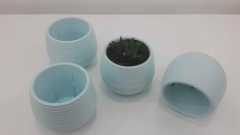 Renkli Kaktüs Saksısı 1 Adet 1,3 Lt Elvan Saksı Model Bebe Mavisi Renk Plastik Saksı