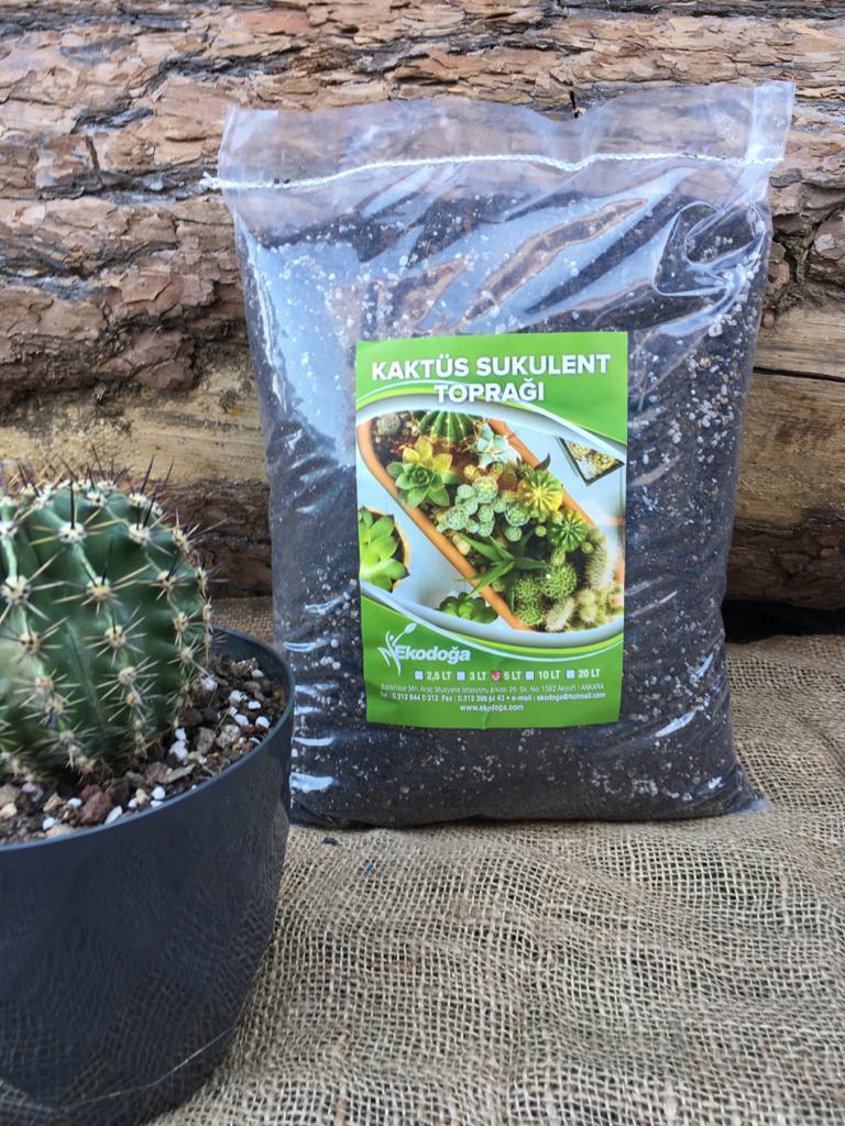5 LT Kaktüs Toprağı Sukulent Lithops Aloe vera Özel Toprak