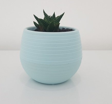 Renkli Kaktüs Saksısı 3 Adet 1,3 Lt Elvan Saksı Model Bebe Mavisi Renk Plastik Saksı
