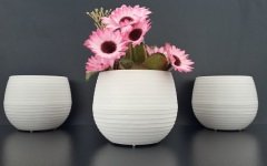 Renkli Kaktüs Saksısı 3 Adet 1,3 Lt Elvan Saksı Model Krem Renk Plastik Saksı