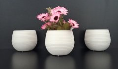 Renkli Kaktüs Saksısı 1 Adet 1,3 Lt Elvan Saksı Model Krem Renk Plastik Saksı