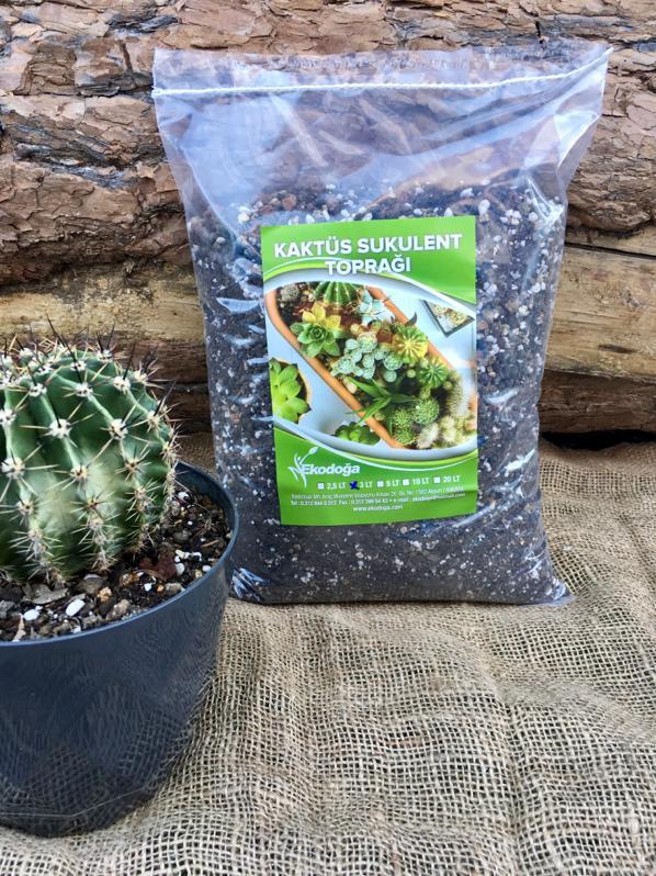 Kaktüs Toprağı 10  LT Sukulent Lithops Aloe vera Özel Toprak