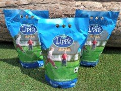 Çim Tohumu 1 kg 6 Karışım Villa Çimi Özel Çim İthal Kaliteli Çim