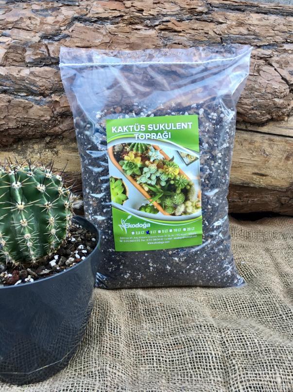 Kaktüs Toprağı 20 LT Sukulent Lithops Aloe vera Özel Toprak