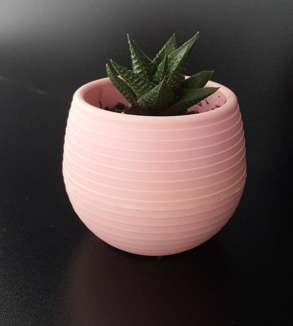 Renkli Kaktüs Saksısı 1 Adet 1,3 Lt Elvan Saksı Model Pudra Pembe Renk Plastik Saksı