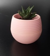 Renkli Kaktüs Saksısı 1 Adet 1,3 Lt Elvan Saksı Model Pudra Pembe Renk Plastik Saksı